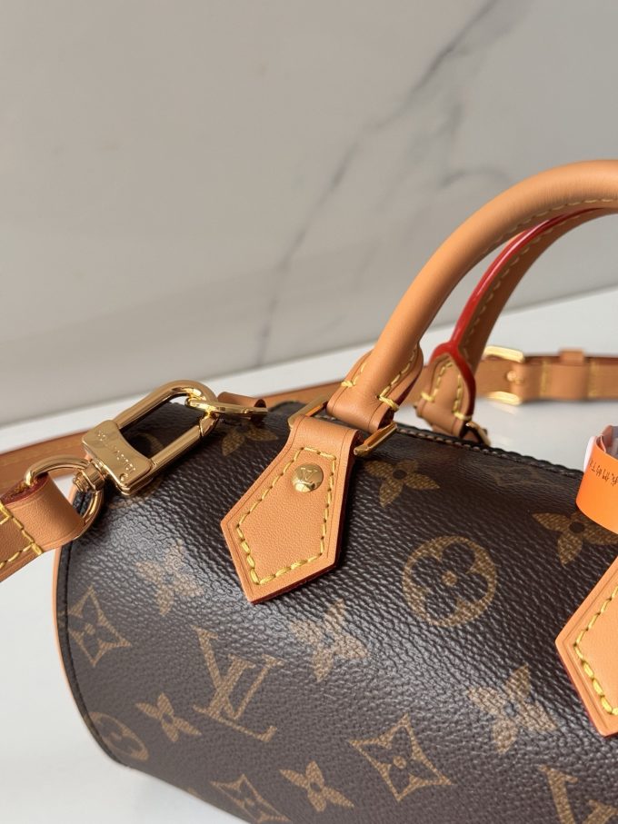 LV  NANO SPEEDY DATING BAG M13226