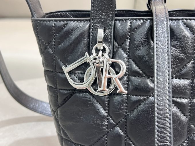 Dior Toujours Vertical Handbag