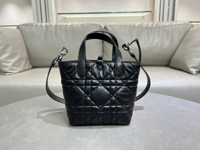Dior Toujours Vertical Handbag