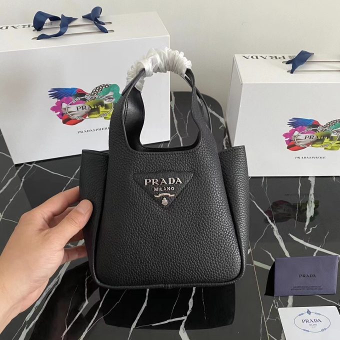 The latest 2025 mini tote bag