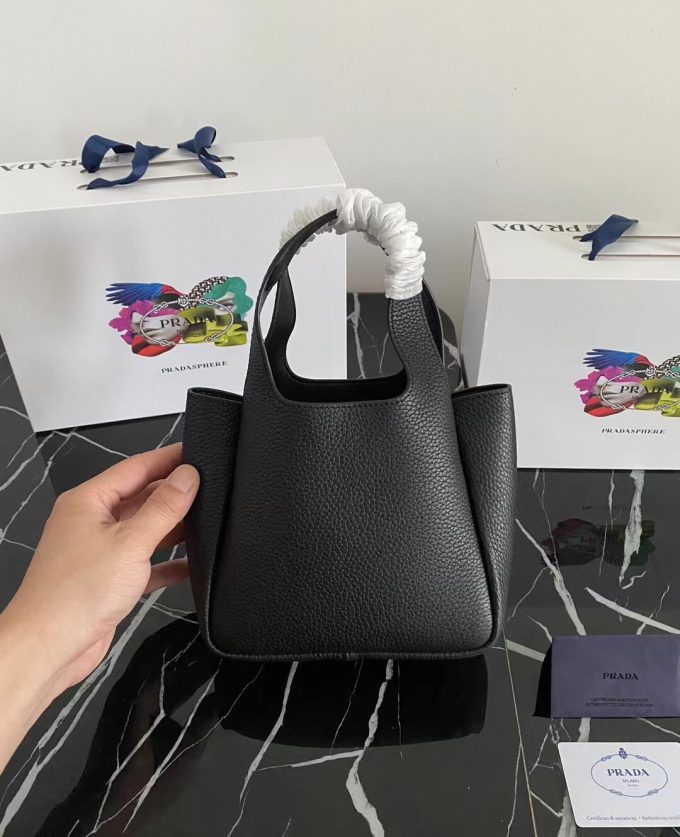 The latest 2025 mini tote bag