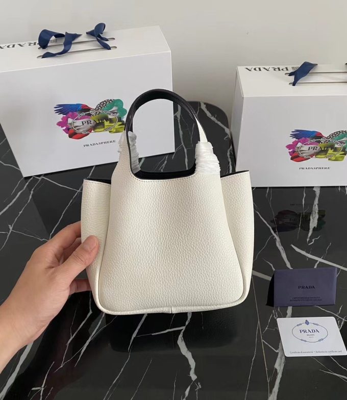 The latest 2025 mini tote bag