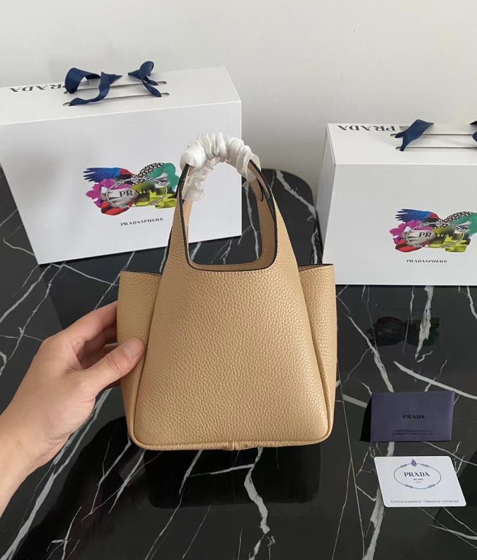 The latest 2025 mini tote bag